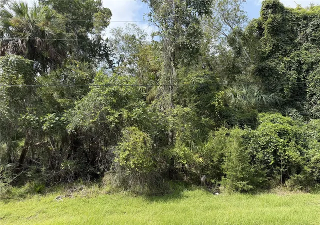 2nd image of 10991 W London Ln, Homosassa, FL 34448 | MLS# G5115684