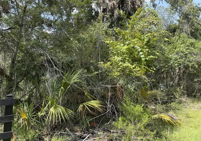 3rd image of 10991 W London Ln, Homosassa, FL 34448 | MLS# G5115684