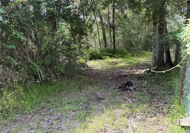4th image of 10991 W London Ln, Homosassa, FL 34448 | MLS# G5115684