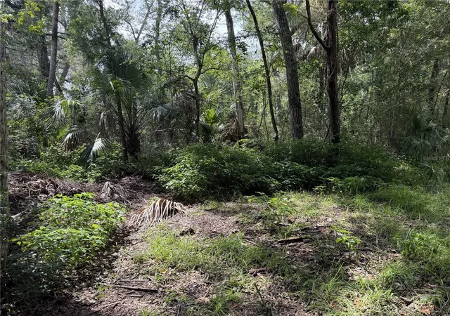 5th image of 10991 W London Ln, Homosassa, FL 34448 | MLS# G5115684