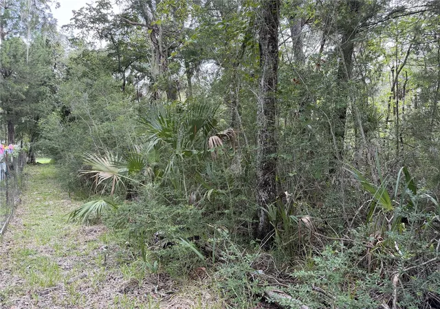 6th image of 10991 W London Ln, Homosassa, FL 34448 | MLS# G5115684