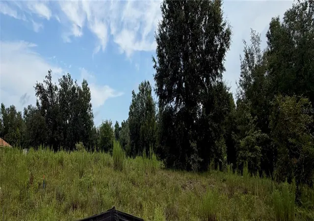 Land for sale at Tbd Southwest 109th Pl, DUNNELLON, FL 34432 | MLS# S5154603