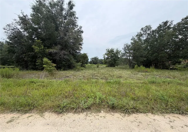 Land for sale at SW 108 Th Ln, DUNNELLON, FL 34432 | MLS# S5154605