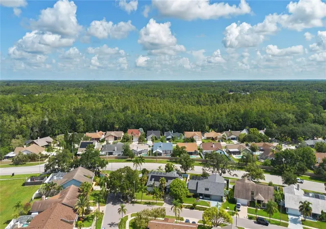 Photo 38 of Single family home for sale at 12212 Steppingstone Blvd, Tampa, FL 33635 | MLS# TB8533782 | Listing updated on 2026-09-13
