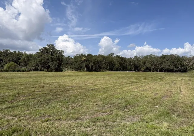 Photo 3 of Land for sale at Horton Rd, Plant City, FL 33567 | MLS# A4701414 | Listing updated on 2026-08-21