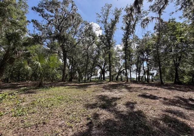 Photo 4 of Land for sale at Horton Rd, Plant City, FL 33567 | MLS# A4701414 | Listing updated on 2026-08-21