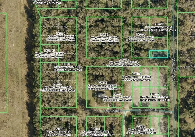 17th image of 14263 Annutalaga Ave, Brooksville, FL 34601 | MLS# W7888074