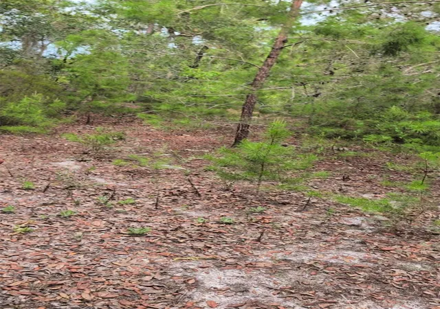 Photo 1 of Land for sale at 102 B St, Interlachen, FL 32148 | MLS# O6429089 | Listing updated on 2026-08-11