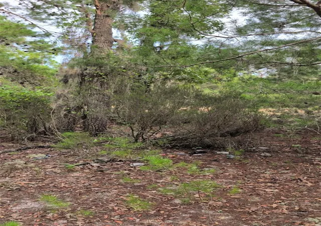 Photo 3 of Land for sale at 102 B St, Interlachen, FL 32148 | MLS# O6429089 | Listing updated on 2026-08-11