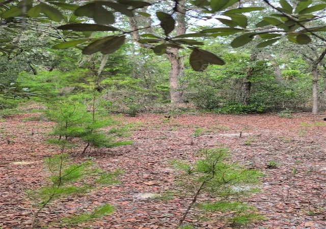 Photo 3 of Land for sale at 102 B St, Interlachen, FL 32148 | MLS# O6429089 | Listing updated on 2026-08-11