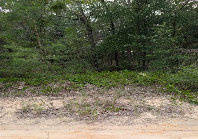 Photo 2 of Land for sale at Pineway Dr, Interlachen, FL 32148 | MLS# O6429102 | Listing updated on 2026-08-11