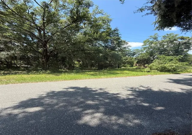 3rd image of 1101 E Magnolia St, Leesburg, FL 34748 | MLS# GC542312