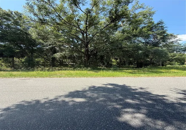 5th image of 1101 E Magnolia St, Leesburg, FL 34748 | MLS# GC542312