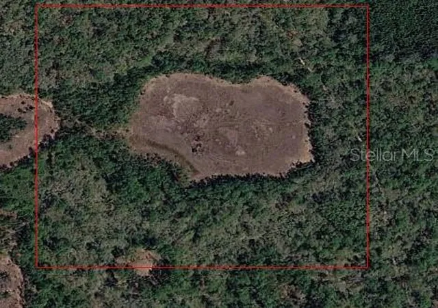 Land for sale at 000 146 Th St, ALTOONA, FL 32702 | MLS# TB8533878