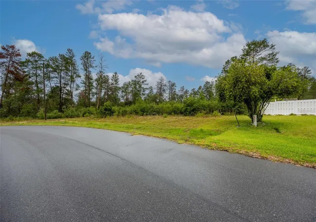 Photo 3 of Land for sale at Tbd Sw 170th Loop, Ocala, FL 34473 | MLS# OM729428 | Listing updated on 2026-07-31