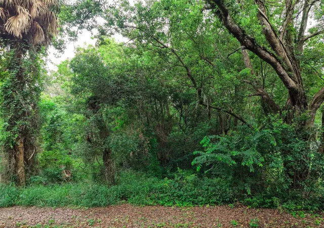 8th image of E Fruitland St, Fruitland Park, FL 34731 | MLS# G5115711