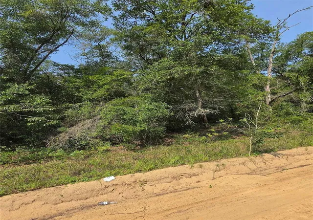Photo 2 of Land for sale at 0 Sherman Dr Cir, Interlachen, FL 32148 | MLS# FC320302 | Listing updated on 2026-07-30