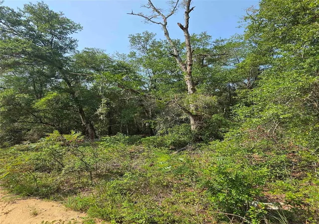 Photo 3 of Land for sale at 0 Sherman Dr Cir, Interlachen, FL 32148 | MLS# FC320302 | Listing updated on 2026-07-30