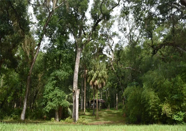 Photo 3 of Single family home for sale at 8650 NW 136th Avenue, Chiefland, FL 32626 | MLS# OM729452 | Listing updated on 2026-07-30
