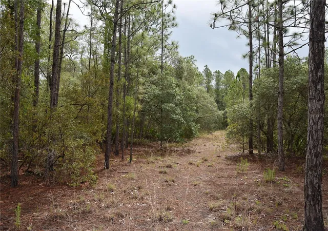 100th image of 8650 Nw 136th Ave, Chiefland, FL 32626 | MLS# OM729452