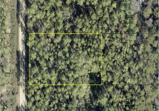 Photo 1 of Land for sale at 10620 Delgado Ave, Hastings, FL 32145 | MLS# FC320311 | Listing updated on 2026-07-31