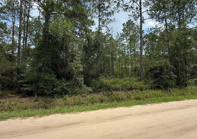 Photo 3 of Land for sale at 10620 Delgado Ave, Hastings, FL 32145 | MLS# FC320311 | Listing updated on 2026-07-31