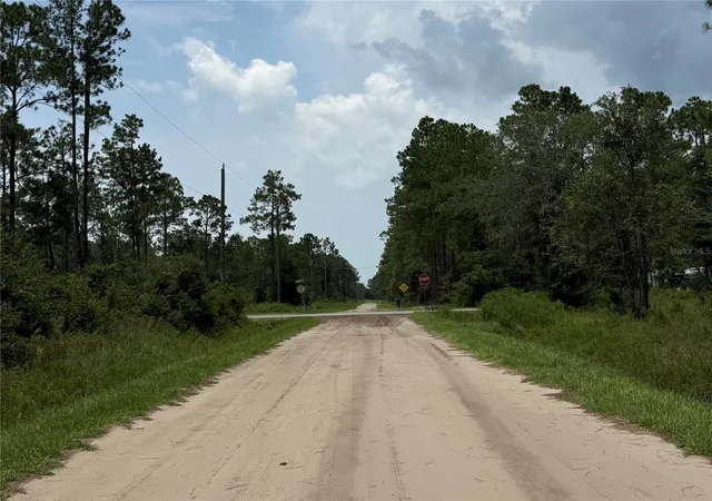 Photo 4 of Land for sale at 10620 Delgado Ave, Hastings, FL 32145 | MLS# FC320311 | Listing updated on 2026-07-31