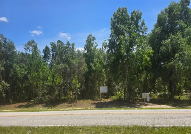 Photo 1 of Land for sale at Ne 236th Court, Fort Mc Coy, FL 32134 | MLS# TB8534072 | Listing updated on 2026-09-02