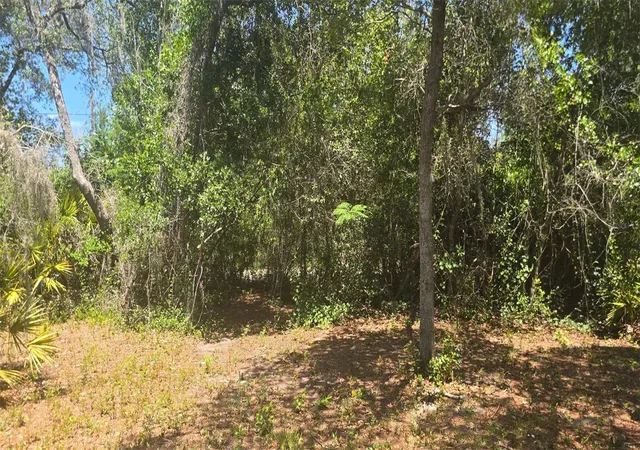 Photo 2 of Land for sale at Ne 236th Court, Fort Mc Coy, FL 32134 | MLS# TB8534072 | Listing updated on 2026-09-02