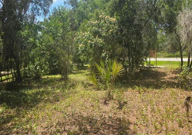 Photo 4 of Land for sale at NE 236th Court, Fort Mc Coy, FL 32134 | MLS# TB8534072 | Listing updated on 2026-09-02