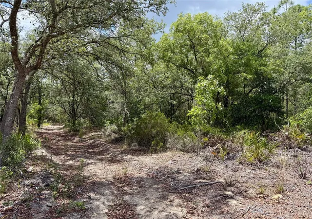 1st image of Sw 200 St, Archer, FL 32618 | MLS# GC542338