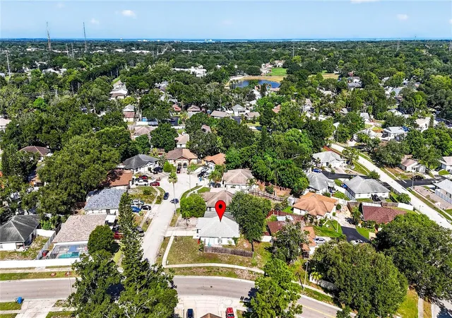 45th image of 2699 Macklin Ct, Palm Harbor, FL 34684 | MLS# TB8534117