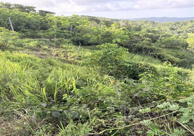 Photo 1 of Land for sale at Pr 785 Km 20 #4, Caguas, PR 00727 | MLS# PR9123078 | Listing updated on 2026-08-07