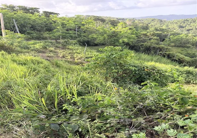 Photo 2 of Land for sale at Pr 785 Km 20 #4, Caguas, PR 00727 | MLS# PR9123078 | Listing updated on 2026-08-07