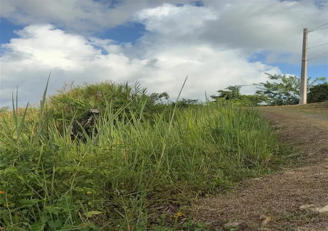 Photo 2 of Land for sale at Pr 785 Km 20 #4, Caguas, PR 00727 | MLS# PR9123078 | Listing updated on 2026-10-22