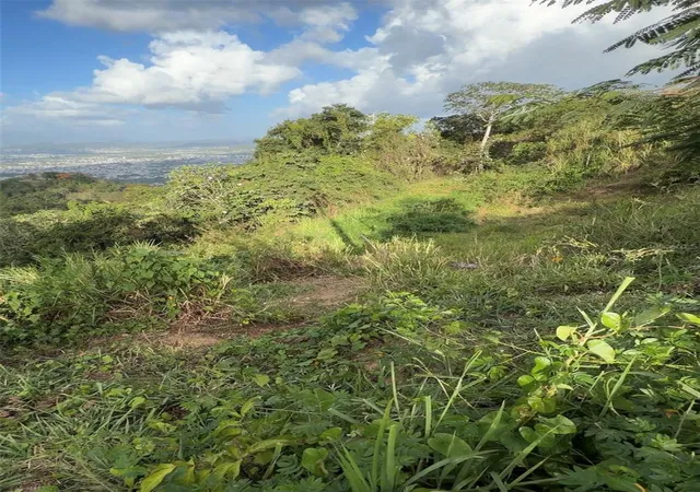 Photo 3 of Land for sale at Pr 785 Km 20 #4, Caguas, PR 00727 | MLS# PR9123078 | Listing updated on 2026-10-22