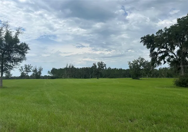 1st image of Tbd N Us Hwy 27, Morriston, FL 32668 | MLS# OM729483