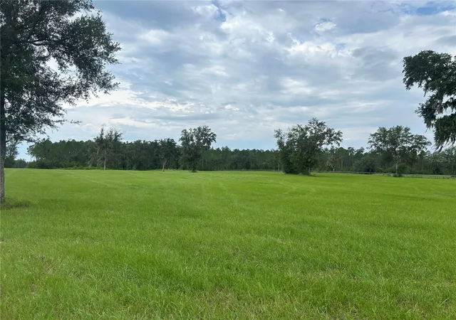 2nd image of Tbd N Us Hwy 27, Morriston, FL 32668 | MLS# OM729483