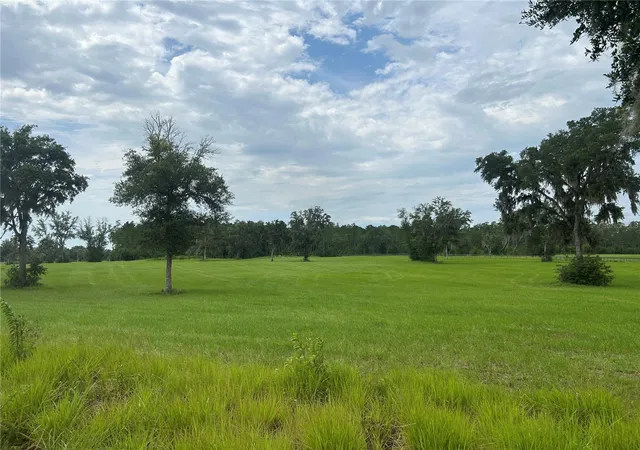 21st image of Tbd N Us Hwy 27, Morriston, FL 32668 | MLS# OM729483