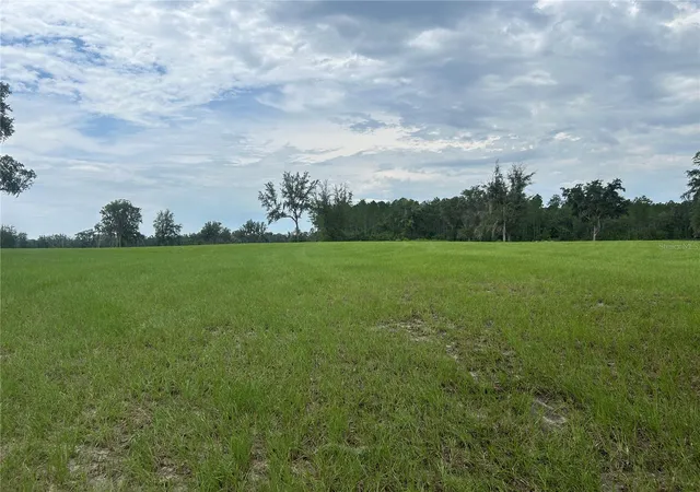 3rd image of Tbd N Us Hwy 27, Morriston, FL 32668 | MLS# OM729483