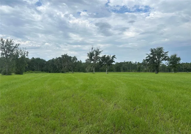 4th image of Tbd N Us Hwy 27, Morriston, FL 32668 | MLS# OM729483