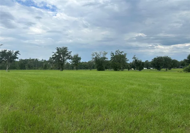 5th image of Tbd N Us Hwy 27, Morriston, FL 32668 | MLS# OM729483