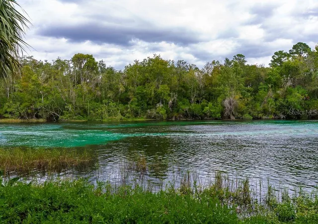 29th image of 19326 Sw 101st Pl Rd, Dunnellon, FL 34432 | MLS# GC542347