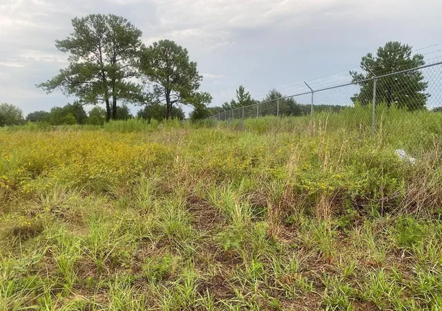 Photo 3 of Land for sale at 241 Chestnut Rd, Ocala, FL 34480 | MLS# OM729484 | Listing updated on 2026-08-03