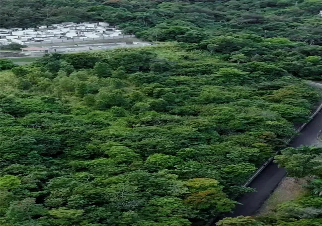 Photo 1 of Land for sale at Carr 185 #F, Carolina, PR 00987 | MLS# PR9123080 | Listing updated on 2026-08-22