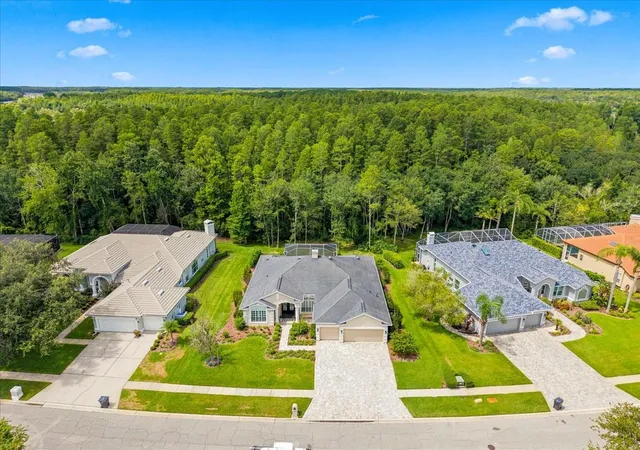 2nd image of 18918 Saint Laurent Dr, Lutz, FL 33558 | MLS# TB8534214