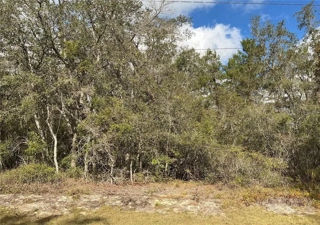 1st image of Lot 8 Fisher Trace, Ocklawaha, FL 32179 | MLS# OM729495