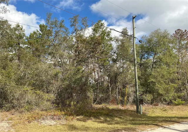 3rd image of Lot 8 Fisher Trace, Ocklawaha, FL 32179 | MLS# OM729495