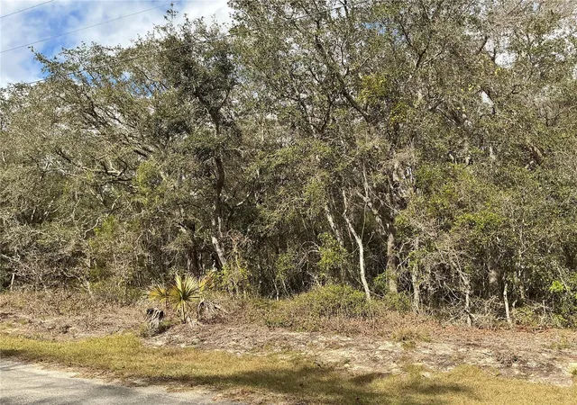4th image of Lot 8 Fisher Trace, Ocklawaha, FL 32179 | MLS# OM729495