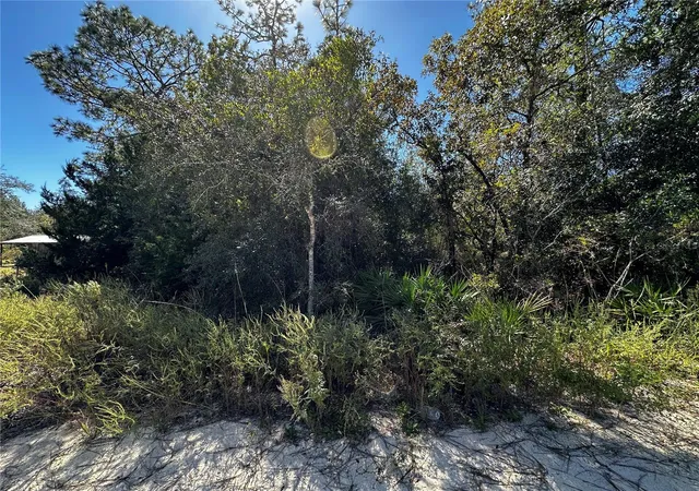 Photo 1 of Land for sale at Tbd Ne 65th Lane, Bronson, FL 32621 | MLS# OM729502 | Listing updated on 2026-10-20